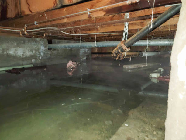 Best Emergency water damage restoration  in St Clair, PA