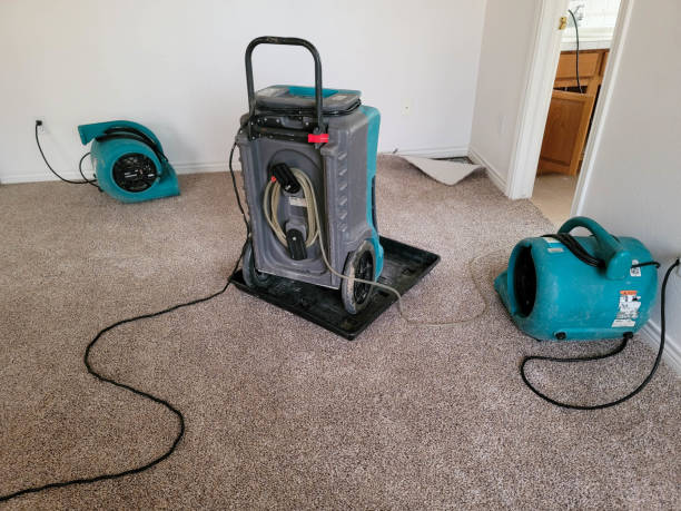 Best Water damage mitigation services  in St Clair, PA