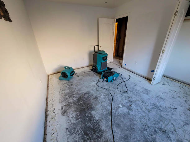  St Clair, PA Water damage restoration Pros