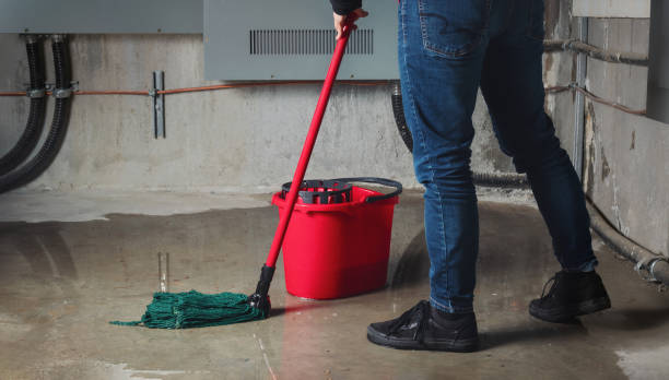 Best 24-hour water damage restoration  in St Clair, PA