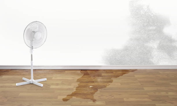 Best Flood damage cleanup  in St Clair, PA