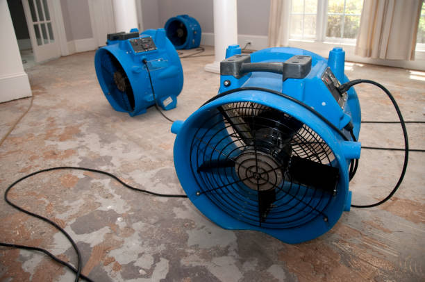 Best Water damage restoration near me  in St Clair, PA