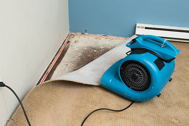 Best Residential water damage restoration  in St Clair, PA
